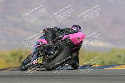 media/Feb-04-2023-SoCal Trackdays (Sat) [[8a776bf2c3]]/Turn 9 Backside (145pm)/